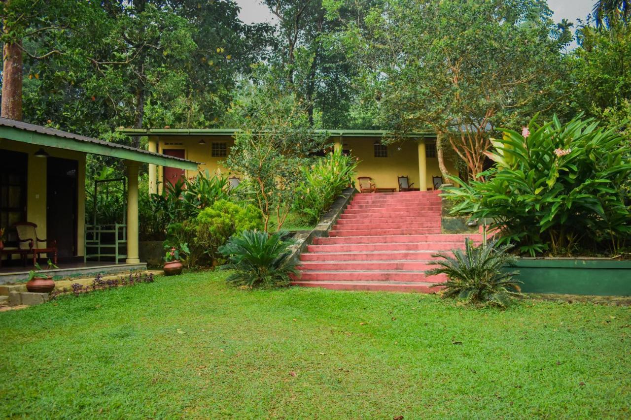Blue Magpie Lodge Sinharaja Kudawe Экстерьер фото