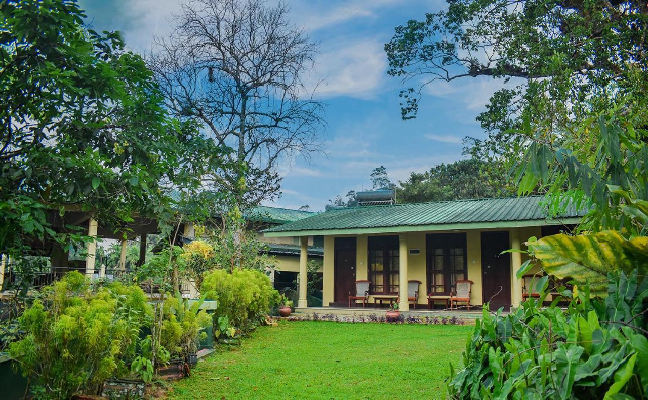 Blue Magpie Lodge Sinharaja Kudawe Экстерьер фото